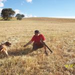 100_1012-destacada