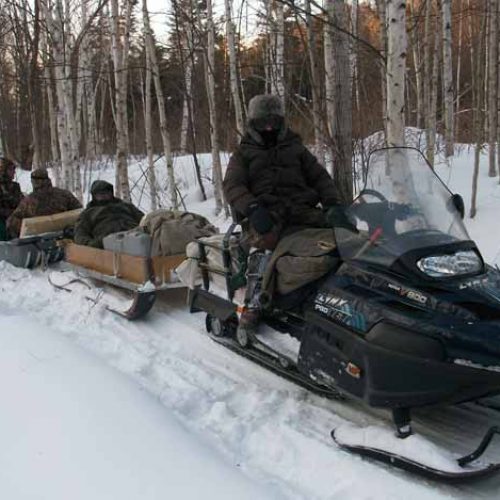 Técnicas y equipo para cazar en el Círculo Polar