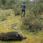 MONTERIA HASTA LA PROXIMA DESTACADA