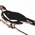 Aspectos legales sobre la caza de tórtolas y torcaces en media veda-image2-DESTACADA