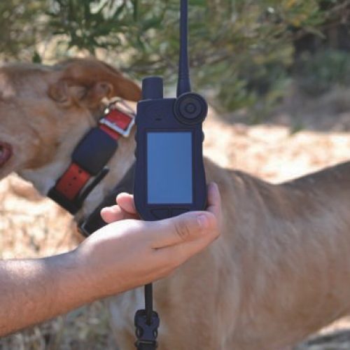 Collar GPS SportDOG Tek 2.0. La más avanzada tecnología para nuestro perro