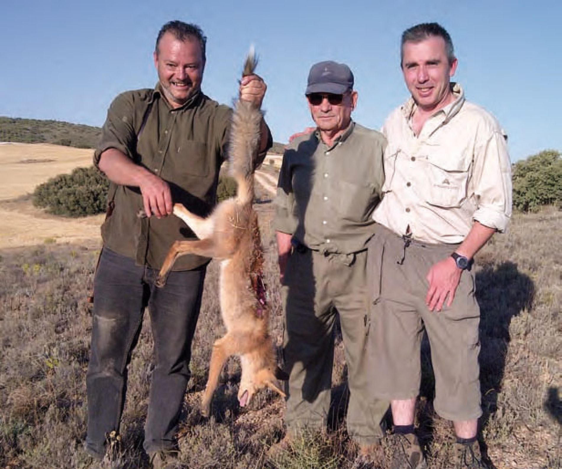 El zorro, la revalorización de una especie