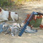 armas-y-cartuchos-para-media-veda-pruebas-calibres-y-cargas