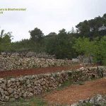 Europa tumba el Plan de Desarrollo Rural de la Comunidad Valenciana