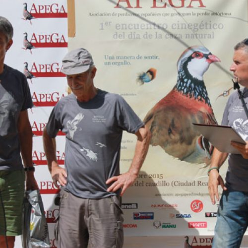 Gala anual de Apega