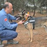 Sistema de rastreo de perros de Garmin
