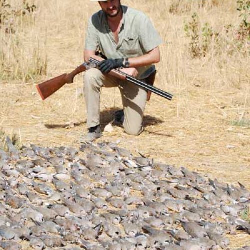 Disfrute de la caza ;en Gambia y Senegal