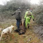 Seguimos monteando, con buen tiempo y abundante caza