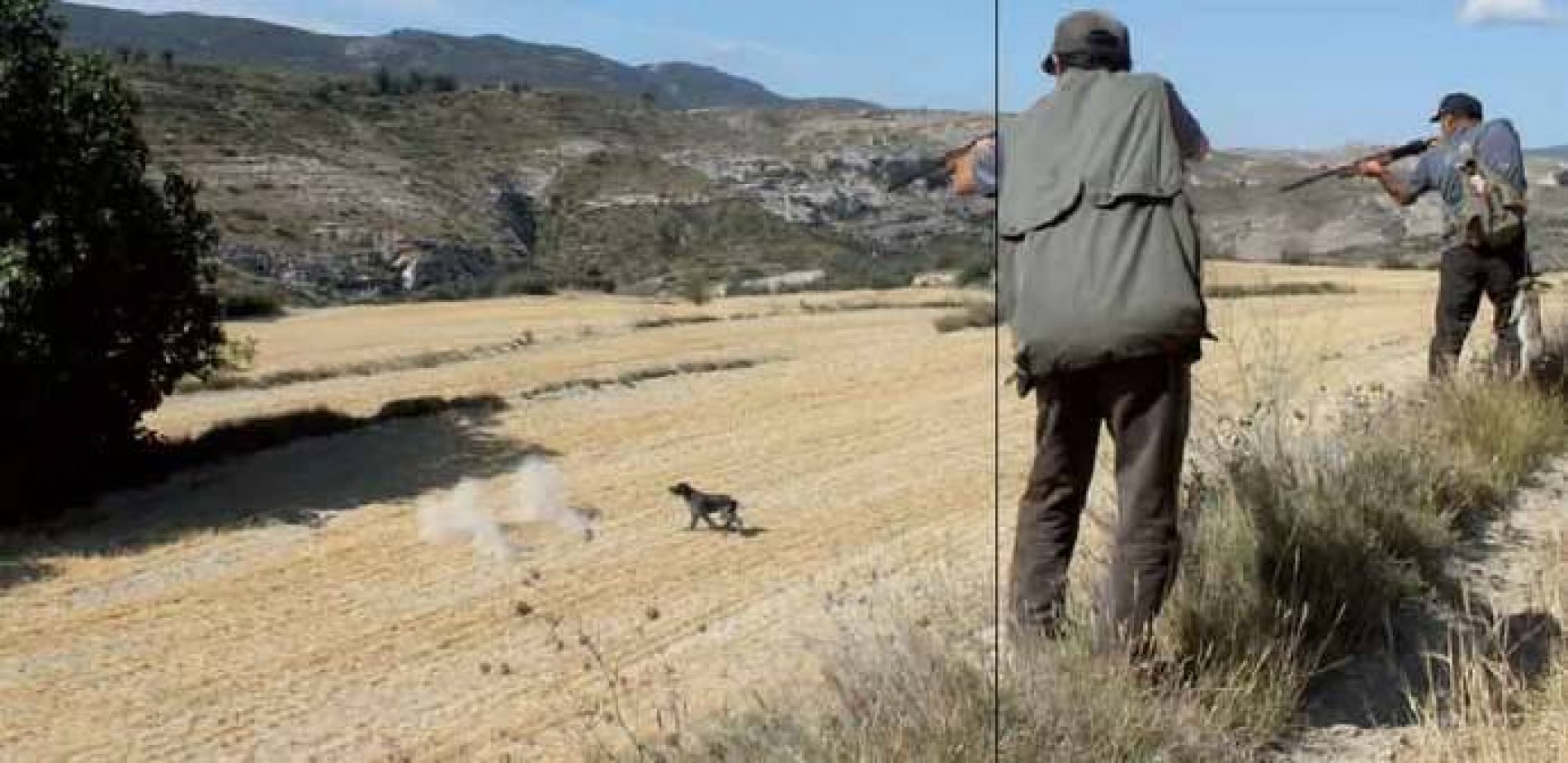 ¿Qué es y cómo debe fijarse el proyecto cinegético?