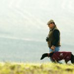 Liebres, galgos y galgueros