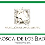 La ACE edita un díptico sobre el parasito Hypoderma SSP