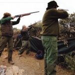 Las Palomas llegaron de forma irregular y los zorzales con retraso
