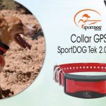 Ya tenemos ganador del sorteo del collar GPS SportDOG Tek 2.0