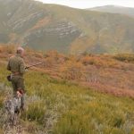 Perdices rojas: tres terrenos, tres cacerías diferentes
