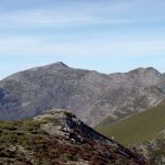 Gestión Cinegética de la Red de Reservas Regionales de Caza de Castilla León