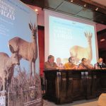 Conclusiones del IV simposio sobre el corzo organizado por la ACE