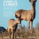 La Asociación Del Corzo Español Organiza El IV Simposio Sobre El Corzo