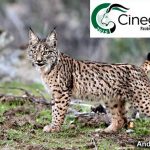 Cinegética 2015 con la conservación