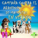 Campaña Jocaex Contra El Abandono De Mascotas En Verano.
