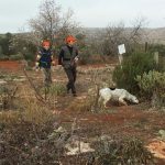 La Federación de Caza evita la limitación de caza en zonas comunes