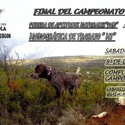 Final del Campeonato de España del Perdiguero de Burgos