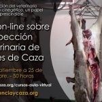 carne-de-caza-destacada