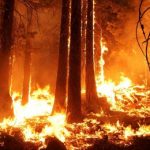 incendio-forestal-destacada