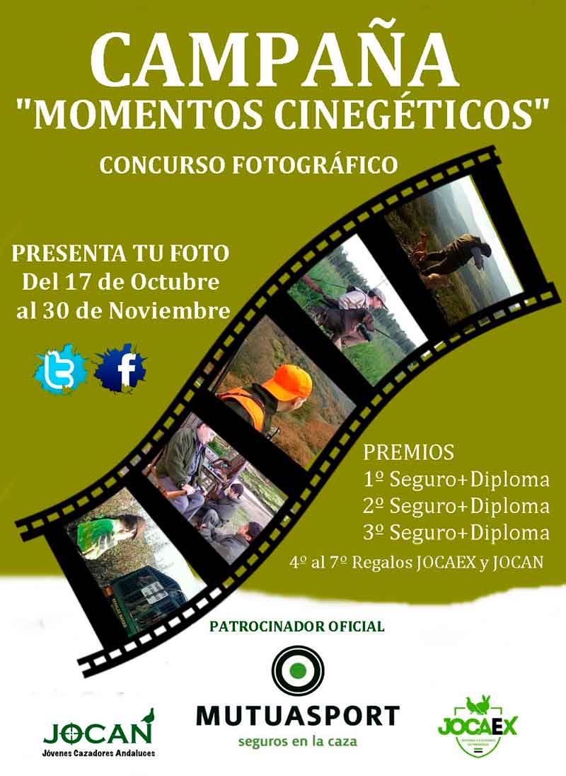 momentos cinegéticos