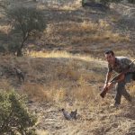 foto-del-lince