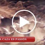 spot-noviembre