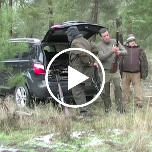 videos-monteria-tierra-pinares