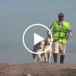 videos-rehalas-minarro