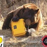 bear2100-peli-storm