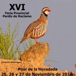 cartel-feria-de-pediz-macho-en-pilar-de-la-horadada-2016