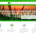 web-fedexcaza