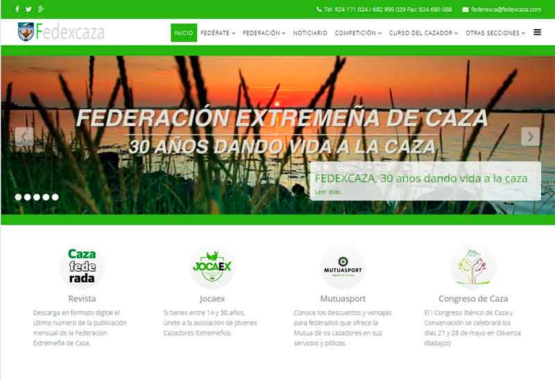 web-fedexcaza