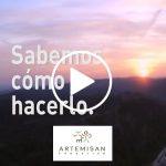 fundacion-artemisan