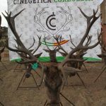 Monteria-La-Utrera