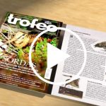 revista-de-diciembre