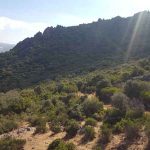 monterias2