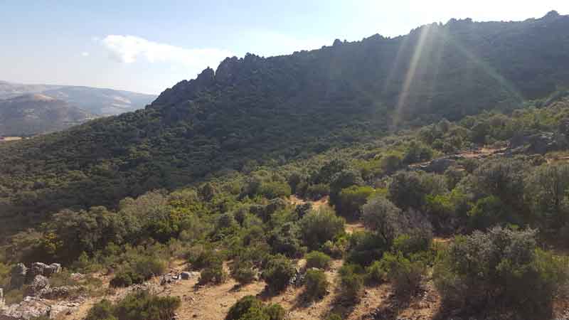 monterias2
