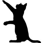 Gatos-asilvestrados