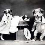 Perros-hombres-y-tontos
