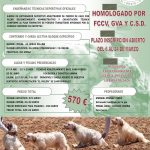 Curso-de-Entrenador-deportivo-nivel-1-de-perros-de-caza-2