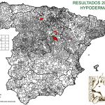 Resultados Hipoderma