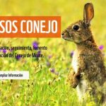 SOS-Conejo