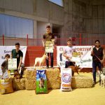 Copa-Trabajo-podencos