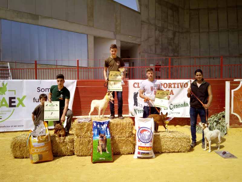 Copa-Trabajo-podencos