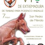 Podencos