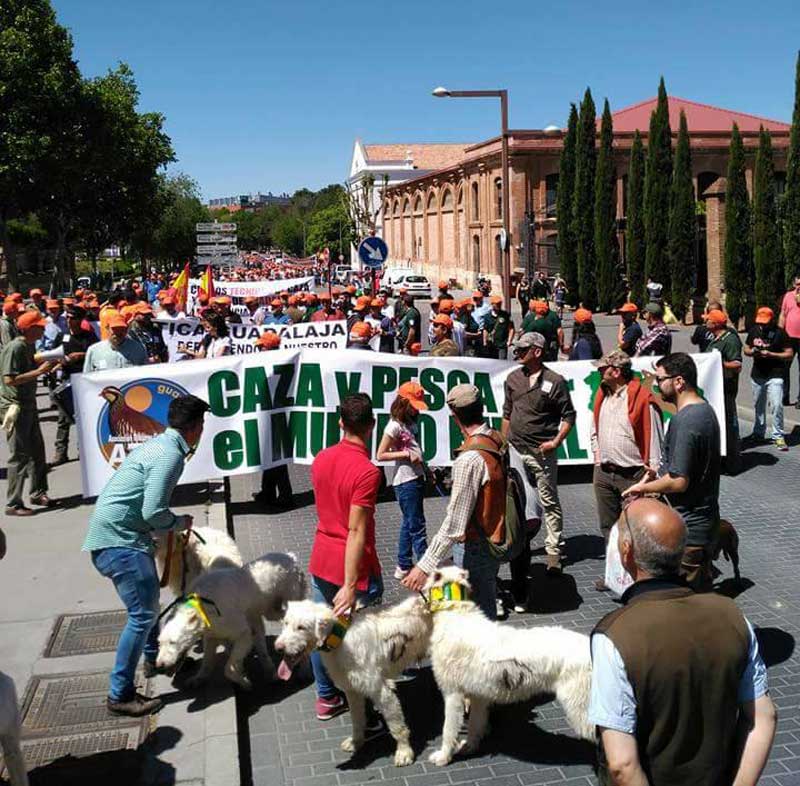 MANIFESTACION-1